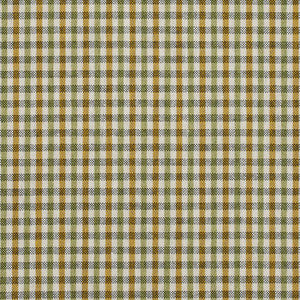 5818 Spring Check by Charlotte Fabric