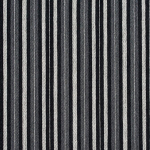 5825 Onyx Stripe by Charlotte Fabric