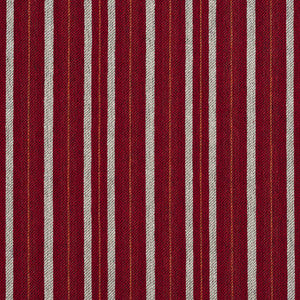 5826 Spice Stripe by Charlotte Fabric