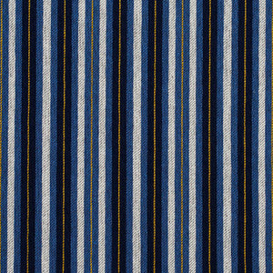 5829 Cobalt Stripe by Charlotte Fabric