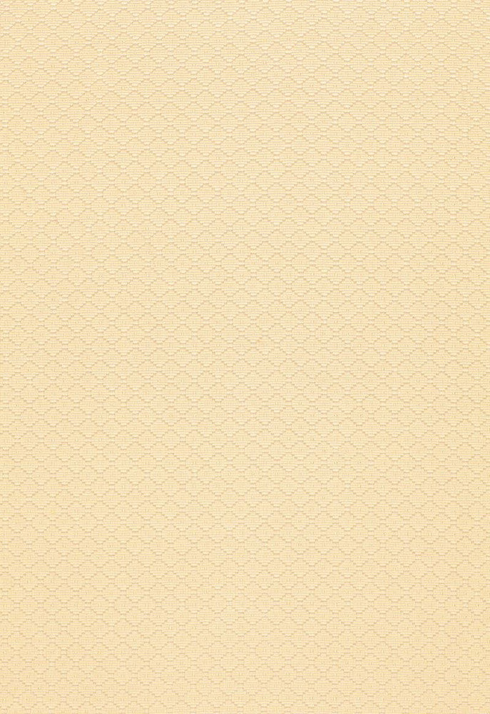 Luzia Diamond Cream 58730 by Schumacher Fabric Chroma 91% Cotton, 9% Rayon - Horizontal: 7/8- and Vertical: 7/8- 54 - Fabric Carolina -