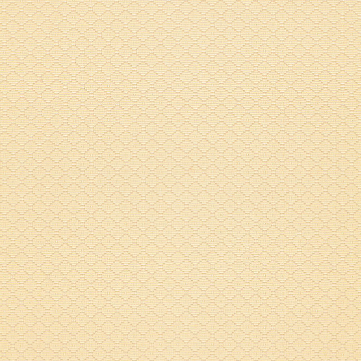 Luzia Diamond Cream 58730 by Schumacher Fabric CHROMA See Sample UNITED STATES OF AMERICA - </p><p>Repeat: Horizontal: 7/8" (2CM) and Vertical: 7/8" (2CM) 54" WIDE (137CM) - Fabric Carolina -