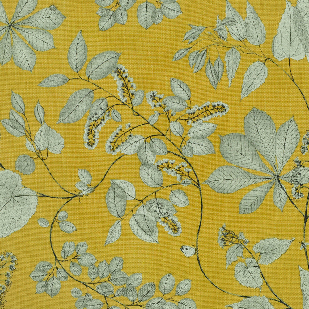 Arboretum Citrine Fm Nc19 5 by P Kaufmann Fabrics Fabric