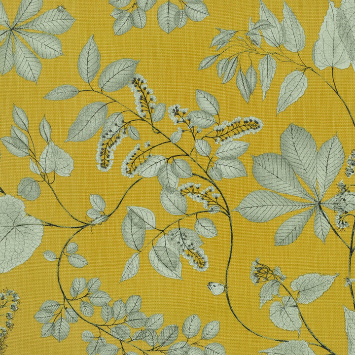 Arboretum Citrine Fm Nc19 5 by P Kaufmann Fabrics Fabric