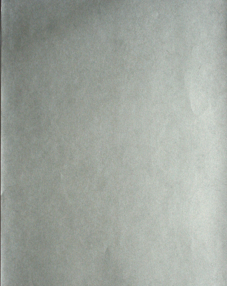 Mychelle Grey Texture Wallpaper by Kenneth James Verve Covers about 56.4 square feet 20.5-in by 33-ft long roll Unpasted 0 - Fabric Carolina -