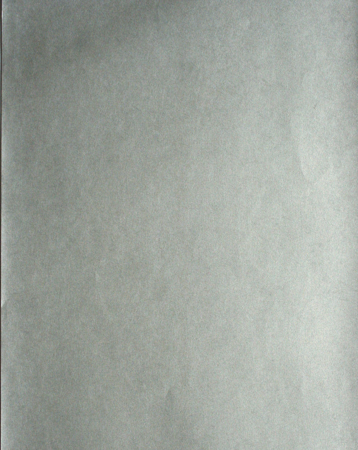 Mychelle Grey Texture Wallpaper by Kenneth James Verve Covers about 56.4 square feet 20.5-in by 33-ft long roll Unpasted 0 - Fabric Carolina -