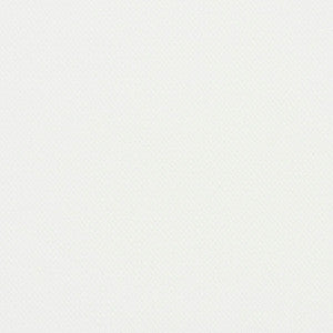 5940 White by Charlotte Fabric
