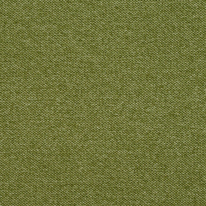 5956 Fern by Charlotte Fabric Woven Crypton 100% Woven Polyester Asia Exceeds 100,000 Wyzenbeek Rubs (Heavy Duty) No Repeat 54 Inches - Fabric Carolina -