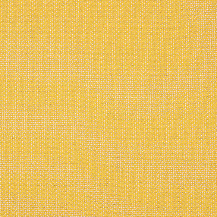 48135-0007 Bliss Lemon by Sunbrella Fabric Sunbrella Balance Sunbrella® Acrylic, Sunbrella® Polyester, Sunbrella® Non-Phthalate PVC USA or Imported 5-Year Horizontal: and Vertical: 60 yd. 54 in. - Fabric Carolina -