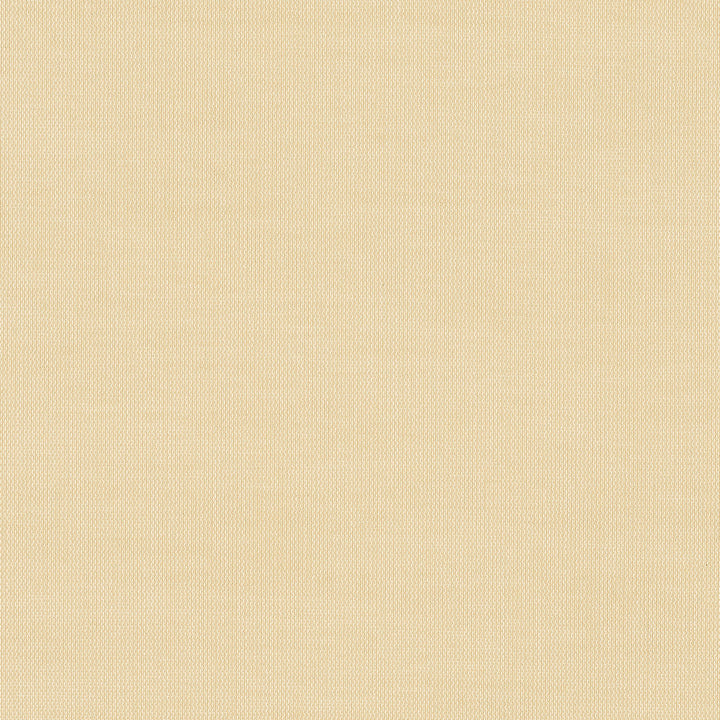 52001-0002 Mist Sand by Sunbrella Fabric Sunbrella Sheer Sunbrella Acrylic USA or Imported 5-Year Horizontal: and Vertical: 60 yd. 54 in. - Fabric Carolina -