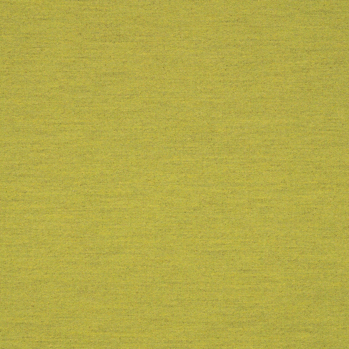 62027-0003 Triumph Leaf by Sunbrella Fabric Sunbrella Transcend Sunbrella® Acrylic, Sunbrella® Polyester USA or Imported 5-Year Horizontal: and Vertical: 50 yd. 54 in. - Fabric Carolina -