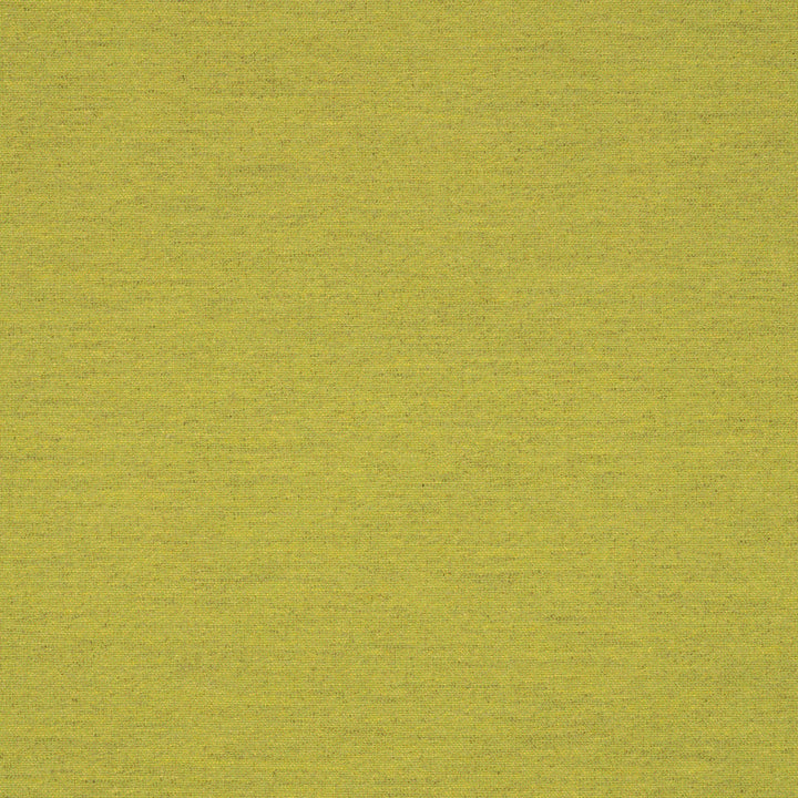 62027-0003 Triumph Leaf by Sunbrella Fabric Sunbrella Transcend Sunbrella® Acrylic, Sunbrella® Polyester USA or Imported 5-Year Horizontal: and Vertical: 50 yd. 54 in. - Fabric Carolina -