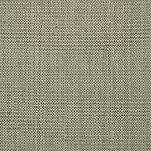 SAV2 J350 140 Savane Nimbus by Sunbrella Fabric