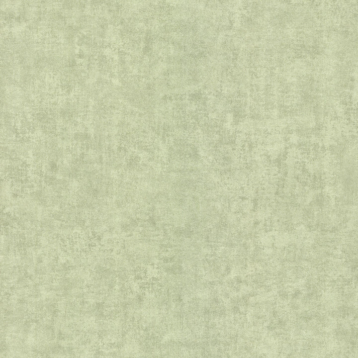 Ardesia Light Green Blossom Texture Wallpaper by Kenneth James Salon Covers about 56.4 square feet 20.5-in by 33-ft long roll Unpasted 21 - Fabric Carolina -