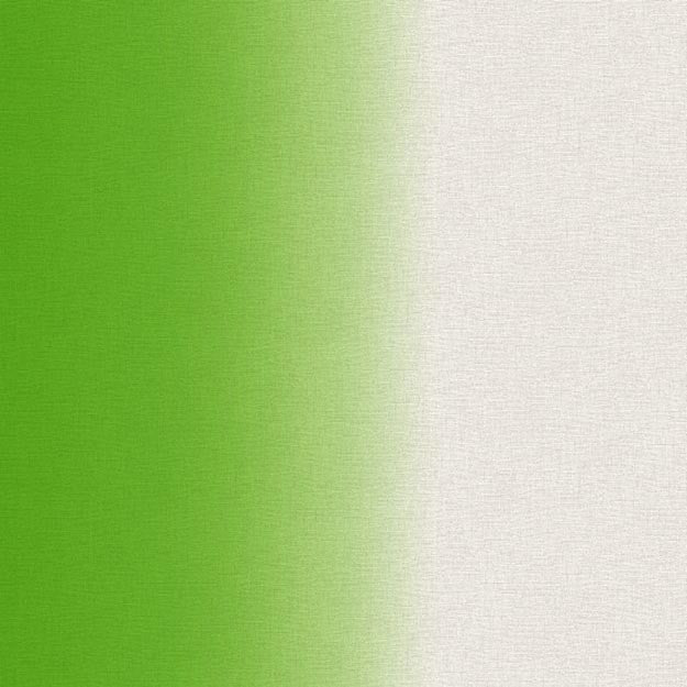 6026 75W7251 by JF Wallpaper FAR EAST WALLCOVERINGS 100% Wallpaper NETHERLANDS (see sample) Horizontal: N/A and Vertical: N/A 20.80 - Fabric Carolina -