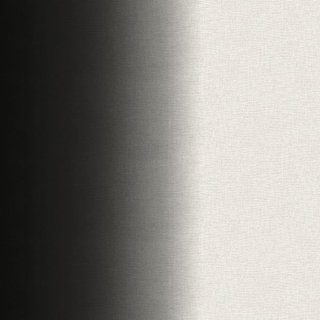 6026 99W7251 by JF Wallpaper FAR EAST WALLCOVERINGS 100% Wallpaper NETHERLANDS (see sample) Horizontal: N/A and Vertical: N/A 20.80 - Fabric Carolina -