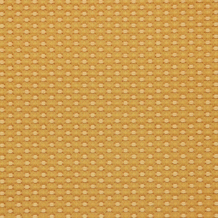 Monserat Chenille Gold 60284 by Schumacher Designer Fabric OPULENT TEXTURES COTTON 70% VISCOSE 30% ITALY WYZENBEEK 30,000 </p><p>Repeat: Horizontal: 1" (3CM) and Vertical: 3/4" (2CM) 54 - Swanky Fabrics -