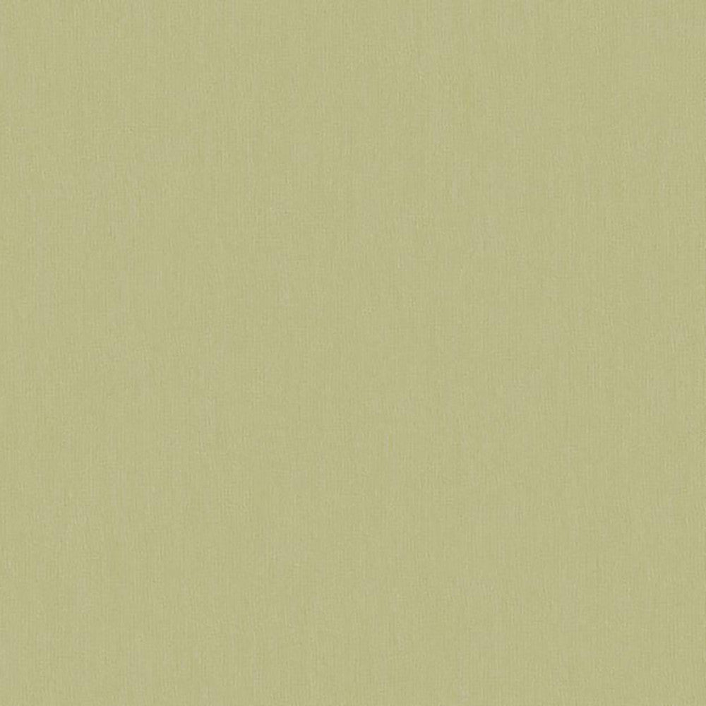 6035 72W7251 by JF Wallcovering FAR EAST WALLCOVERINGS 100% Wallpaper Netherlands Horizontal: and Vertical: 20.8 inches, 11 yards per roll. - Fabric Carolina -