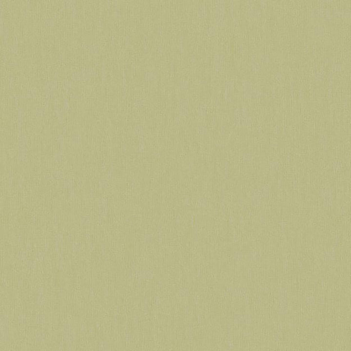6035 72W7251 by JF Wallcovering FAR EAST WALLCOVERINGS 100% Wallpaper Netherlands Horizontal: and Vertical: 20.8 - Fabric Carolina -