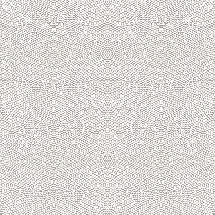 6043 93W7241 by JF Wallcovering COSMOPOLITAN WALLCOVERINGS 100% Wallpaper Netherlands Horizontal: and Vertical: 10.4 20.8 inches, 11 yards per roll. - Fabric Carolina -
