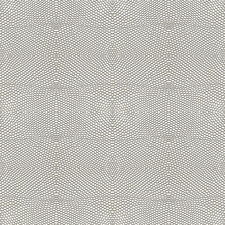 6043 95W7241 by JF Wallcovering COSMOPOLITAN WALLCOVERINGS 100% Wallpaper Netherlands Horizontal: 10.4 and Vertical: N 20.8 - Fabric Carolina -