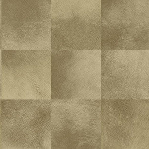 6051 34W7241 By JF Wallcovering