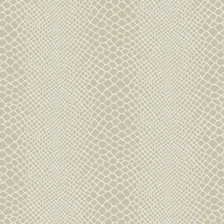 6053 32W7241 by JF Wallcovering COSMOPOLITAN WALLCOVERINGS 100% Wallpaper Netherlands Horizontal: and Vertical: 10.4 20.8 inches, 11 yards per roll. - Fabric Carolina -