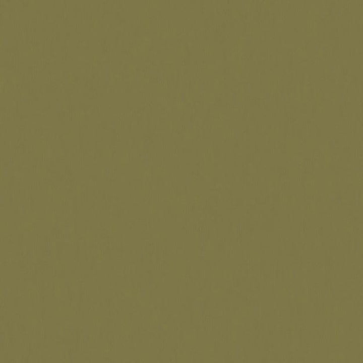 6071 77W7251 by JF Wallcovering FAR EAST WALLCOVERINGS 100% Wallpaper Netherlands Horizontal: and Vertical: 20.8 inches, 11 yards per roll. - Fabric Carolina -