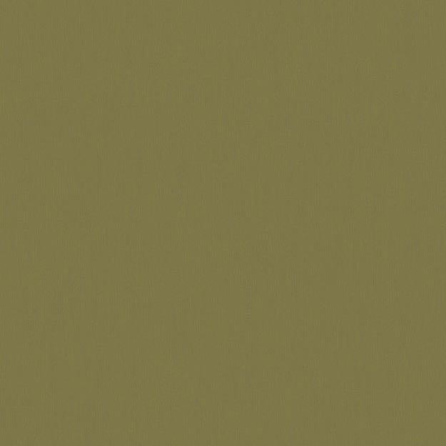 6071 77W7251 by JF Wallpaper FAR EAST WALLCOVERINGS 100% Wallpaper NETHERLANDS (see sample) Horizontal: N/A and Vertical: N/A 20.80 - Fabric Carolina -