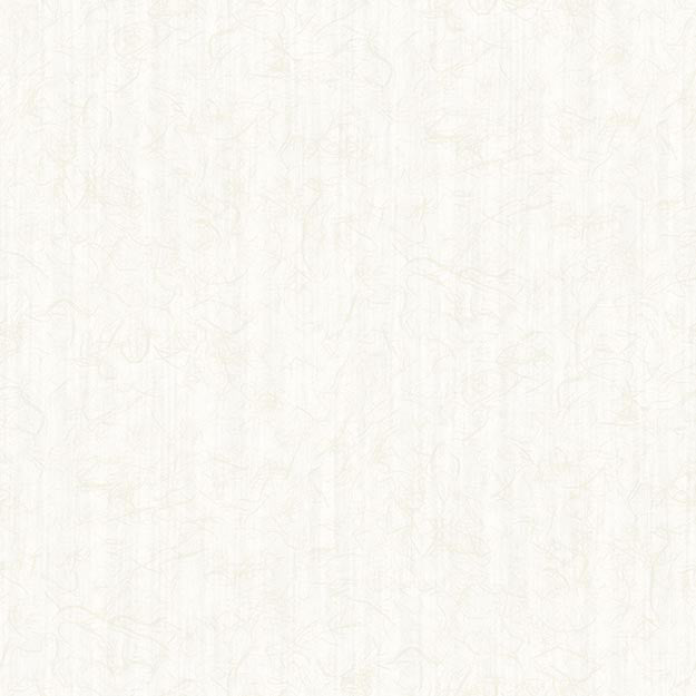 6074 92W7241 by JF Wallpaper COSMOPOLITAN WALLCOVERINGS 100% Wallpaper NETHERLANDS (see sample) Horizontal: N/A and Vertical: N/A 20.80 - Fabric Carolina -
