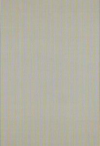 Charee Silk Stripe Black & White 60920 by Schumacher Fabric