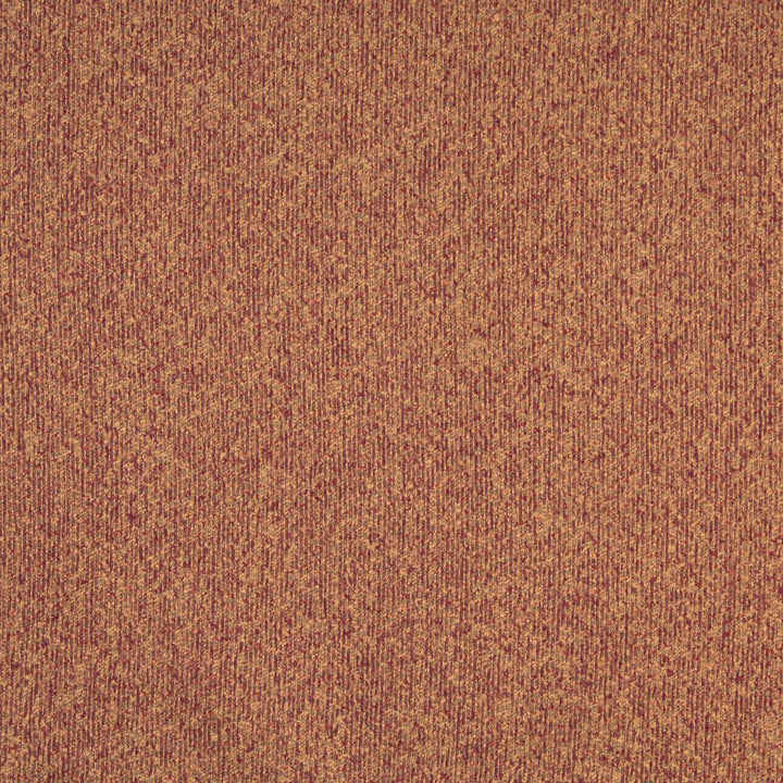 6131 Sienna by Charlotte Fabric Ring Book Page #78 83% Olefin, 17% Polyester Made In USA Exceeds 90,000 Wyzenbeek Rubs (Heavy Duty) No Repeat 54 Inches - Fabric Carolina -