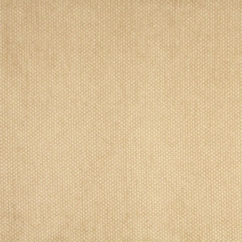 6141 Camel by Charlotte Fabric Ring Book Page #76 59% Acrylic, 30% Polyester, 11% Olefin Made In USA Exceeds 80,000 Wyzenbeek Rubs (Heavy Duty) Horizontal: 0.5" x Vertical: 0.5" 54 Inches - Fabric Carolina -