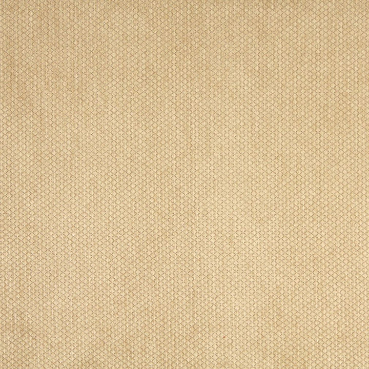 6141 Camel by Charlotte Fabric Ring Book Page #76 59% Acrylic, 30% Polyester, 11% Olefin Made In USA Exceeds 80,000 Wyzenbeek Rubs (Heavy Duty) Horizontal: 0.5" x Vertical: 0.5" 54 Inches - Fabric Carolina -