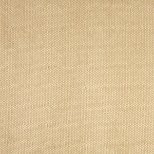 6141 Camel by Charlotte Fabric
