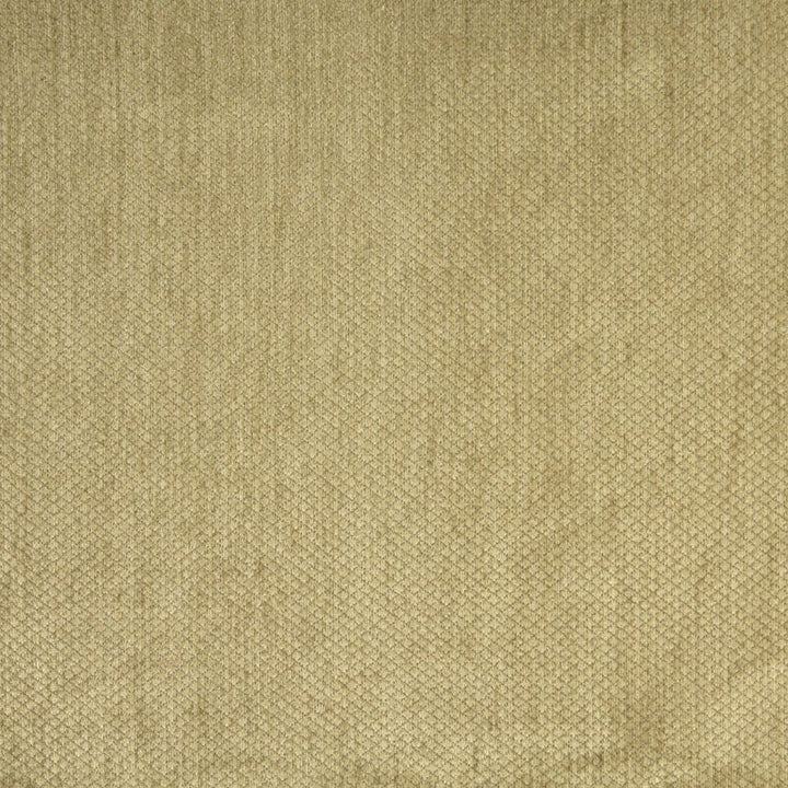 6146 Willow by Charlotte Fabric Ring Book Page #76 59% Acrylic, 30% Polyester, 11% Olefin Made In USA Exceeds 80,000 Wyzenbeek Rubs (Heavy Duty) Horizontal: 0.5" x Vertical: 0.5" 54 Inches - Fabric Carolina -