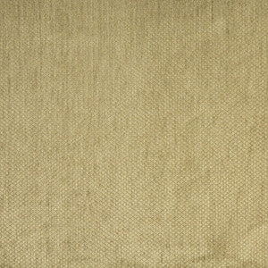 6146 Willow by Charlotte Fabric