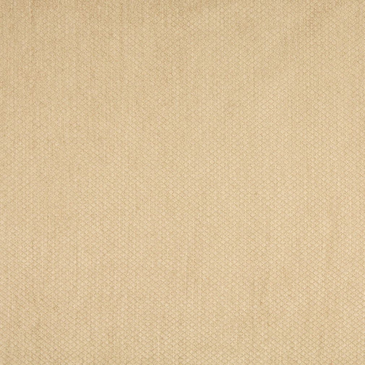 6147 Wheat by Charlotte Fabric Ring Book Page #76 59% Acrylic, 30% Polyester, 11% Olefin Made In USA Exceeds 80,000 Wyzenbeek Rubs (Heavy Duty) Horizontal: 0.5" x Vertical: 0.5" 54 Inches - Fabric Carolina -
