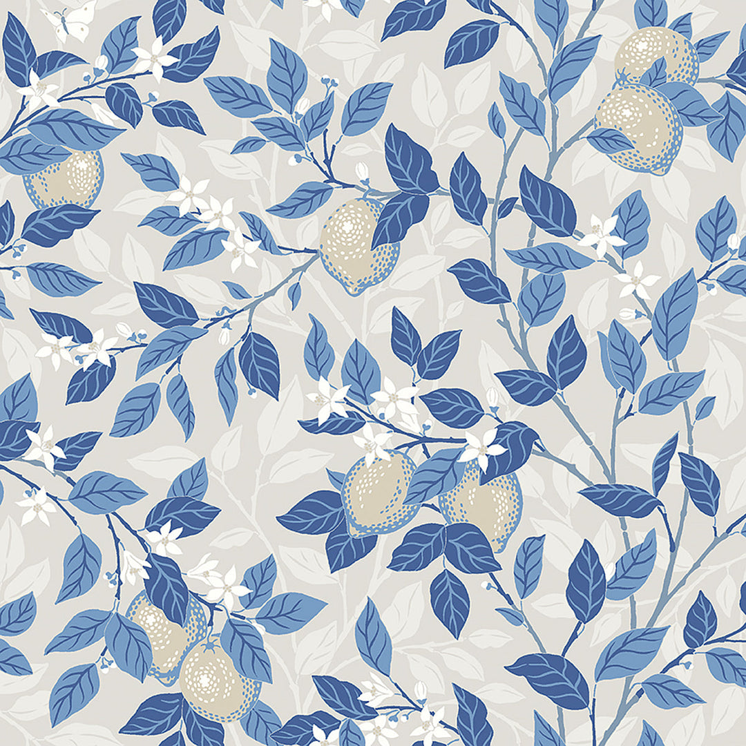 Citronträd - Taupe And Blue by Schumacher Wallcovering