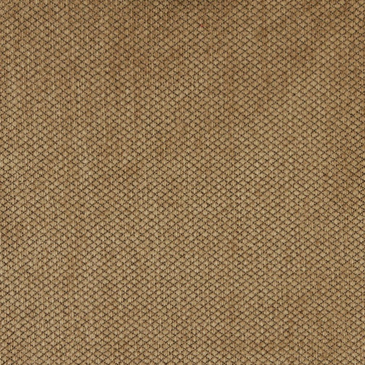 6151 Fawn by Charlotte Fabric Ring Book Page #76 59% Acrylic, 30% Polyester, 11% Olefin Made In USA Exceeds 80,000 Wyzenbeek Rubs (Heavy Duty) Horizontal: 0.5" x Vertical: 0.5" 54 Inches - Fabric Carolina -