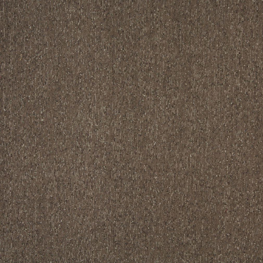 6164 Mocha by Charlotte Fabric Ring Book Page #77 83% Olefin, 17% Polyester Made In USA Exceeds 90,000 Wyzenbeek Rubs (Heavy Duty) No Repeat 54 Inches - Fabric Carolina -