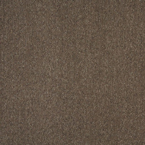 6164 Mocha by Charlotte Fabric