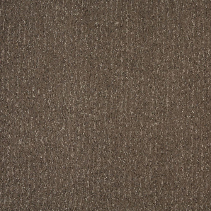 6164 Mocha by Charlotte Fabric Ring Book Page #77 83% Olefin, 17% Polyester Made In USA Exceeds 90,000 Wyzenbeek Rubs (Heavy Duty) No Repeat 54 Inches - Fabric Carolina -