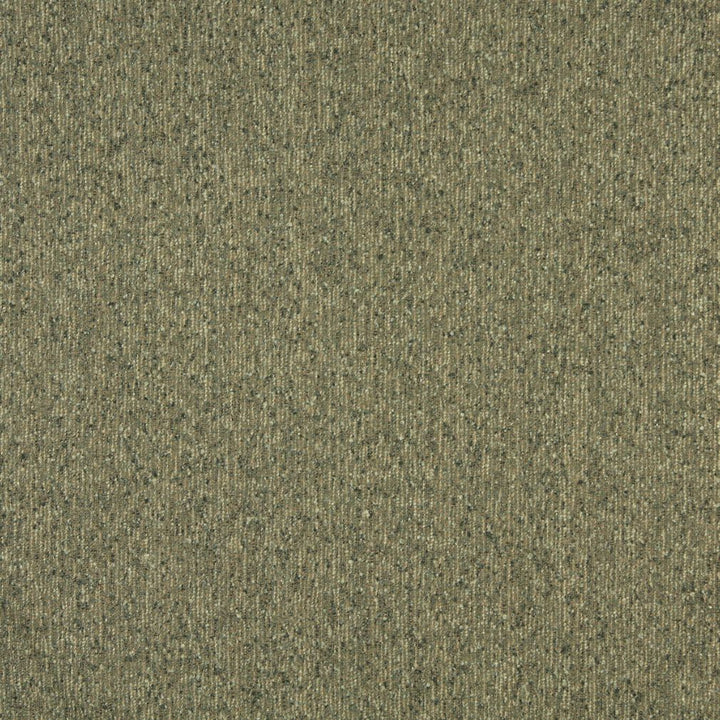 6167 Sage by Charlotte Fabric Ring Book Page #77 83% Olefin, 17% Polyester Made In USA Exceeds 90,000 Wyzenbeek Rubs (Heavy Duty) No Repeat 54 Inches - Fabric Carolina -