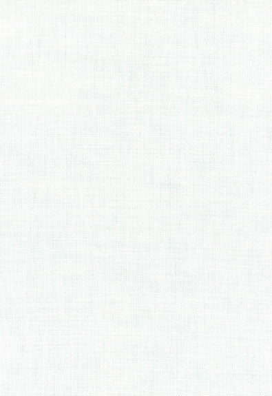 Kenmare Linen Plain White 62001 by Schumacher Fabric Naturals-Plains 51% Linen, 49% Cotton Martindale 12,000 Horizontal: - and Vertical: - 55 - Fabric Carolina -
