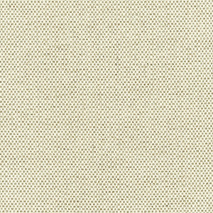 Wicklow Basket Weave Natural 62060 by Schumacher Fabric