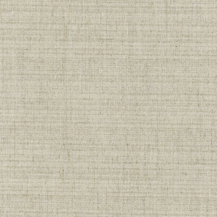 Coleraine Linen Texture Natural 62080 by Schumacher Fabric Schumacher Fabric Coleraine Linen Texture Natural 62080Fabric LINEN 44% BRAZIL </p><p>Repeat: H: , V: 55 - Fabric Carolina -