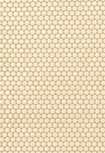 Sprinkle Natural 62272 by Schumacher Fabric