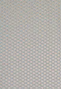Sprinkle Aqua 62273 by Schumacher Fabric