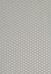 Sprinkle Aqua 62273 by Schumacher Fabric
